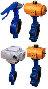 Resilient-Seated,Wafer Style,Butterfly Valve,STW Series,Lug Style,STL Series,Assured Automation