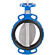 Butterfly Valves, Burkert Type 2671